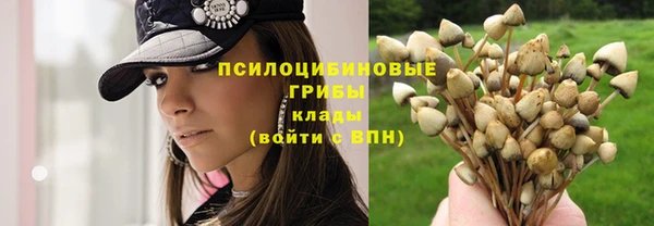 a pvp Абдулино