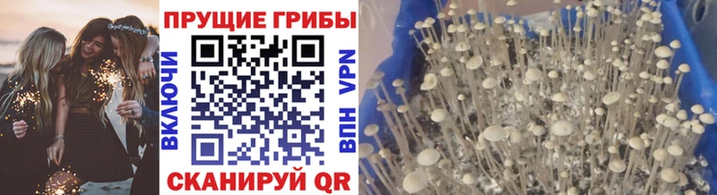 Псилоцибиновые грибы MAGIC MUSHROOMS Сергач